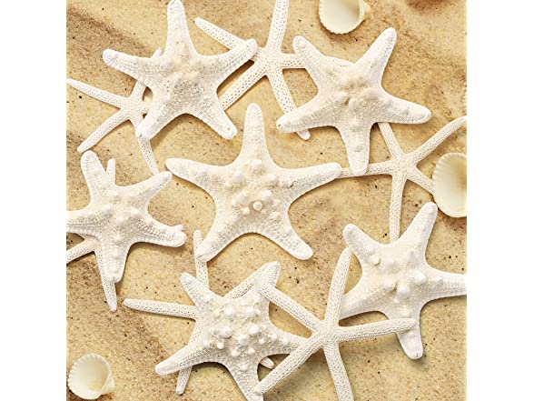 UEIEU 12 PCS Starfish Decor | 2.5-6 Inch