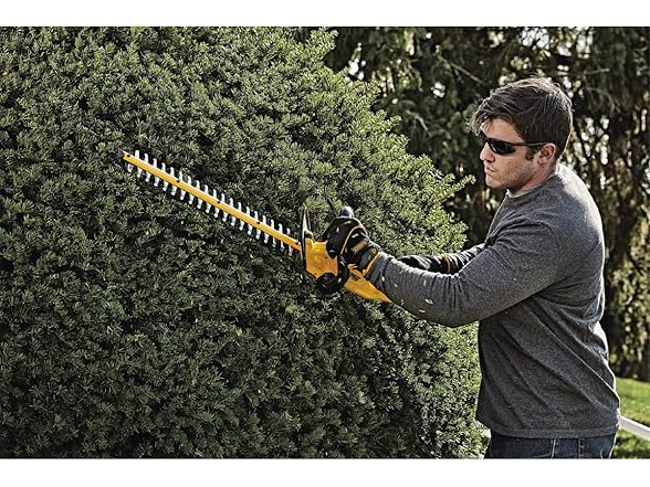 DEWALT DCHT820P1 20V MAX* Hedge Trimmer Kit