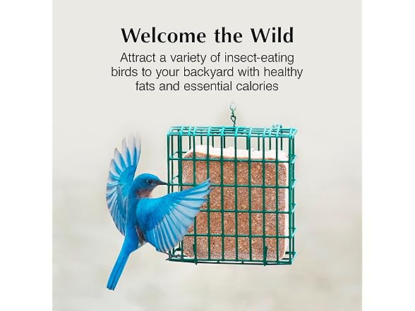 C&S Insect Suet Treat Cakes for Wild Birds