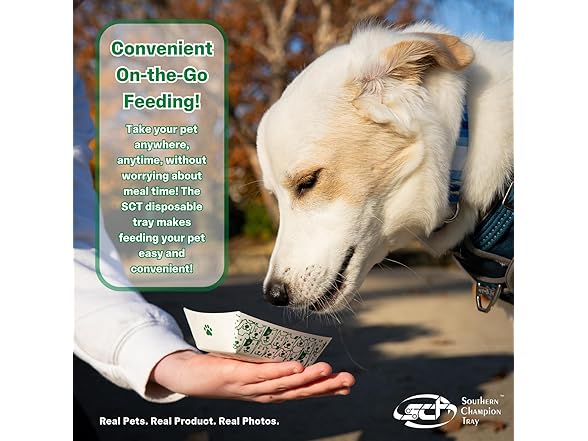 SCT, Disposable Pet Food Bowls - Your Choice
