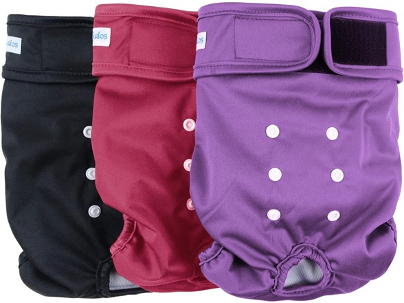 Red, Purple, Black (Black Lining)