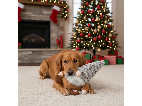 SPOT Woodsy Gnome Dog Toy