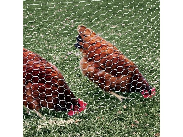 YARDGARD 2 Inch Poultry Netting