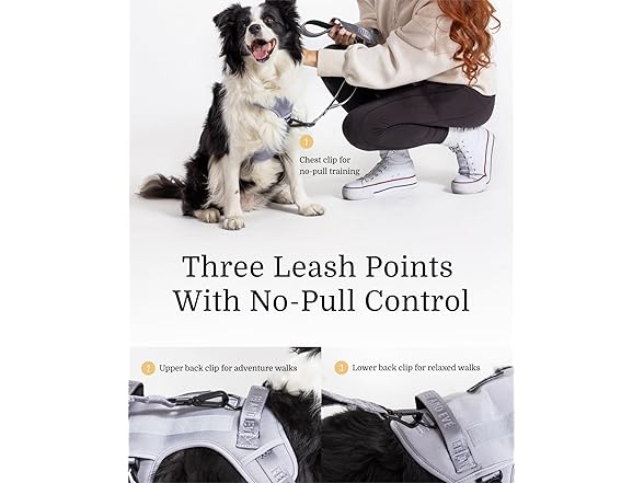 Fei and Eve 2025 Fei & Eve Classic Series Dog Harnes