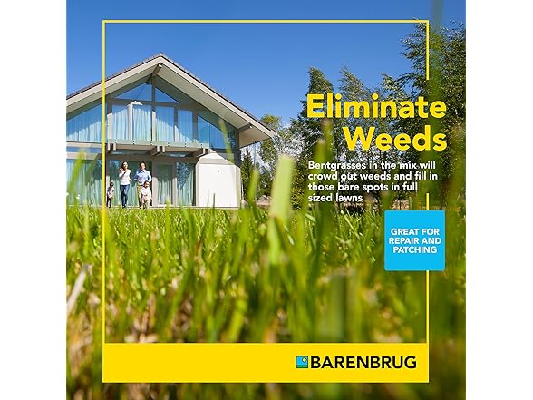 PanAm Bermudagrass Seed, 25 lb Bag