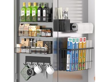 $16.99, Was $28, 39% Off! DTUQYX Magnetic Spice Rack for Refrigerator 180661 dealfomo