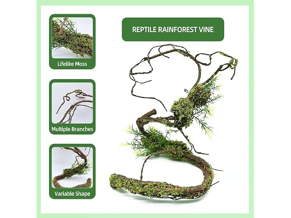 BNOSDM Reptile Plants, Flexible Rainforest Vines w Moss