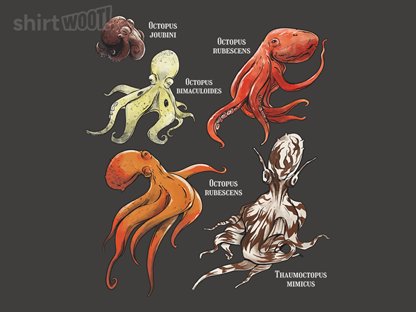 Octopus Atlas