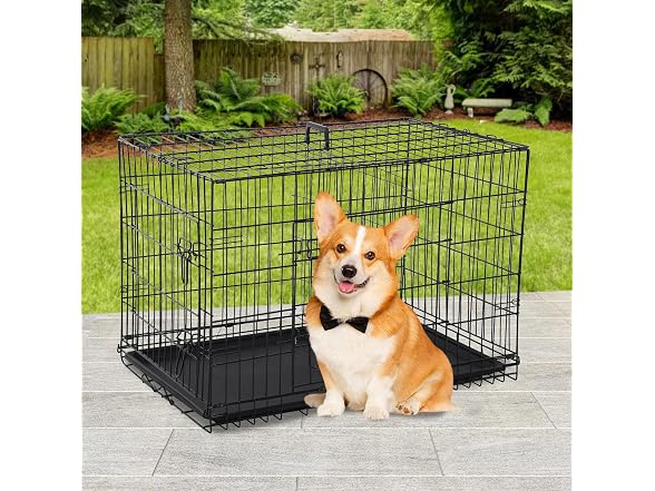 BestPet | Dog Crate | 30" | Black | Foldable