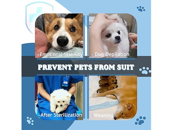Breathable Dog Surgery Recovery Suit
