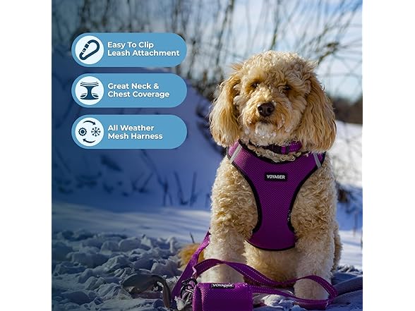 Best Pet Supplies - All Weather Mesh/Plush, Reflective Med