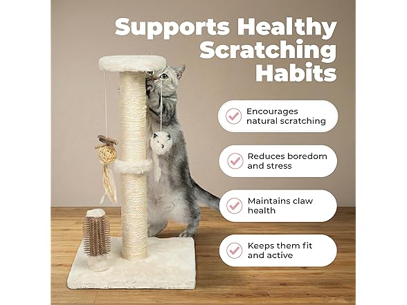 Best Pet Supplies Catify Cat Scratcher