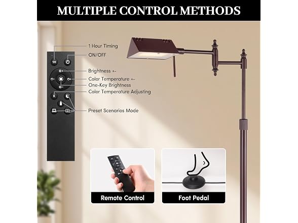 Bairth Oil-Rubbed Bronze Reading Floor Lamp