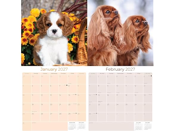 Cavalier Calendar 2026 2027, 16-Month Cavalie