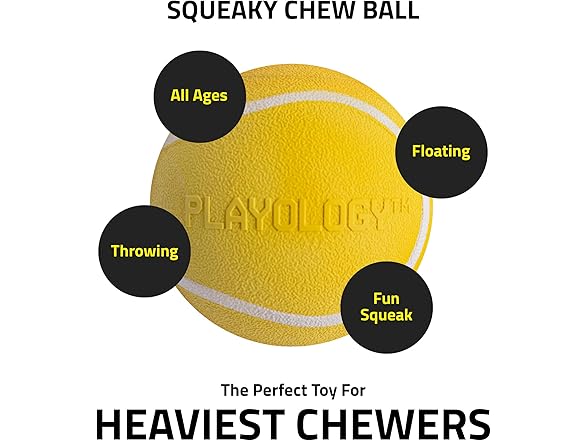 Playology Squeaky Chew Ball Dog Toy Chicken Scent
