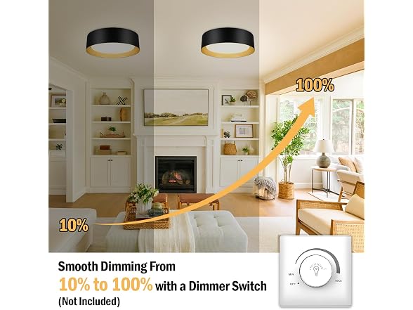 BrightHome Flush Mount Ceiling Light