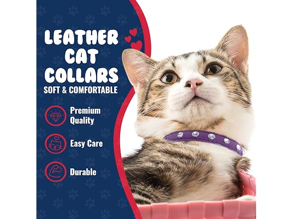 Athens Cat Collar, Leather Kitten Collar w/Rhinestones
