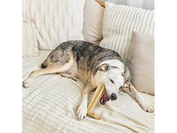 SPOT Bam-Bones Plus Coffee Wood T-Bone Dog Chew Toy