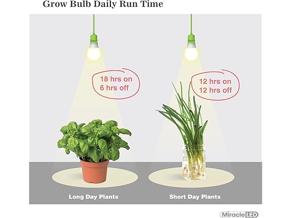 Growing Kit Full Spectrum 4KK 2pk