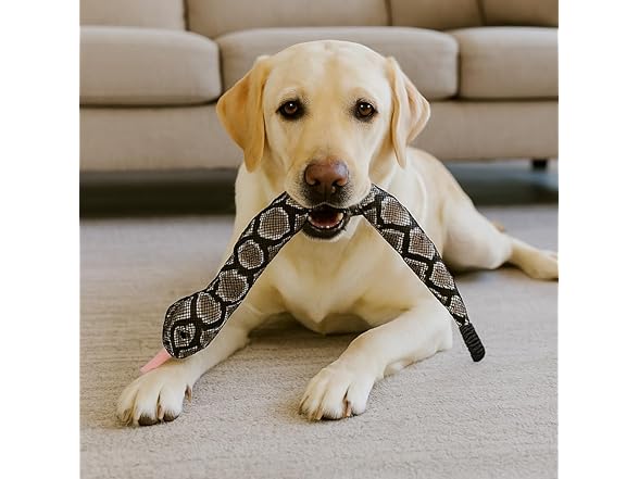 SPOT Slithery Snake Plush Dog Toy – 24"