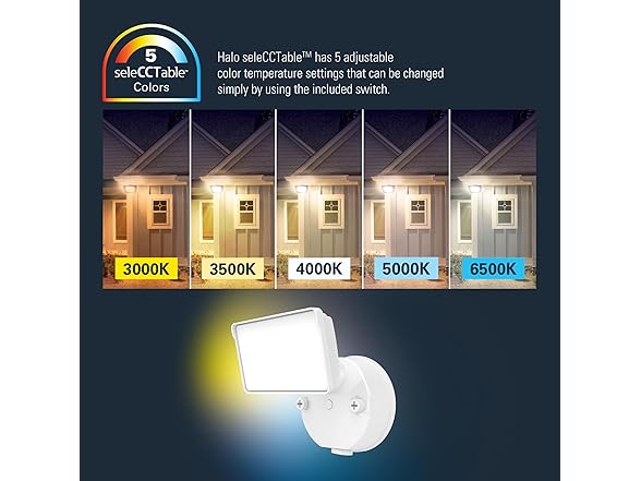 LED Security Floodlight 120V White