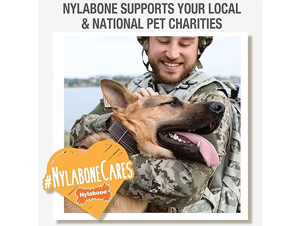 Nylabone Strong MAX Chew Cone Toy