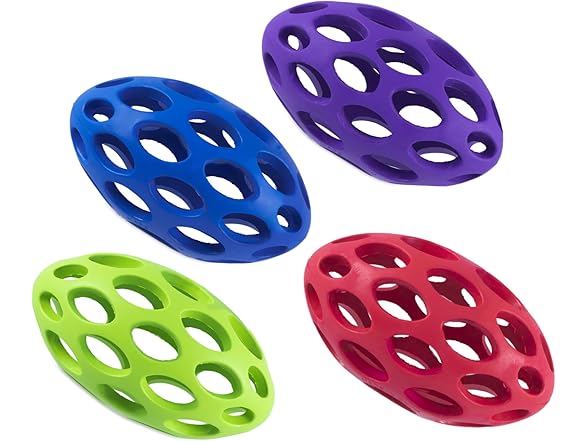 JW Pet Hol-ee Water Bottle Dog Toy