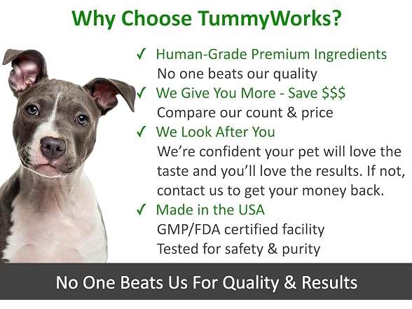 TummyWorks Probiotics for Dogs and Cats.