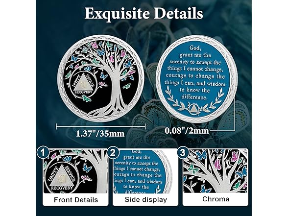 IELCJJ 13 Year Sobriety Coin