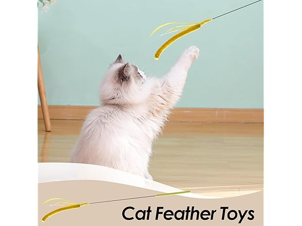 (2 Pack) Cat Wand Toy
