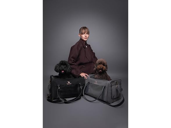 Noah & Paw Soft Carrier TSA Airline Approved