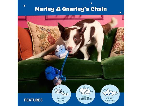 BarkBox Marley & Gnarley's Chain Dog Toy