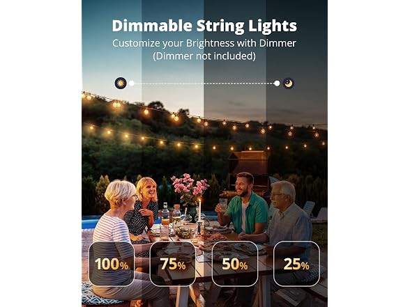 VIPAR Outdoor String Lights, 30FT