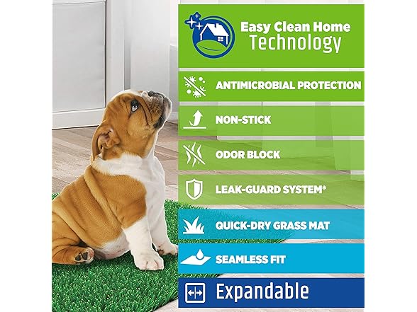 Four Paws Wee-Wee Premium Patch