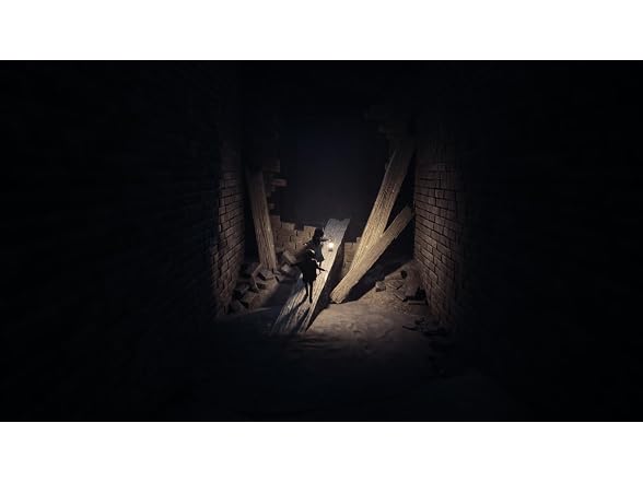 REANIMAL: Collector's Edition