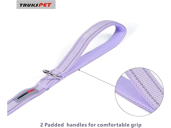 TRUKSPET 5FT Reflective Dog Leash