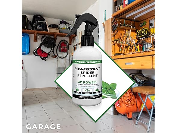 Powermint 8 Oz Peppermint Oil Spider Repellent Spray 2-Pack - Gallery 4