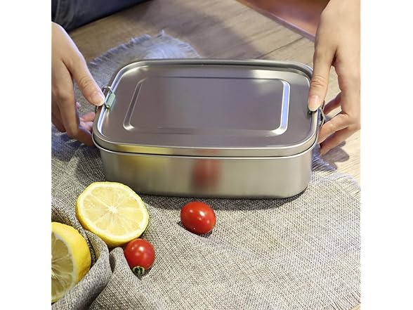 Arora Stainless Steel Lunch Box - 800ml, Eco &