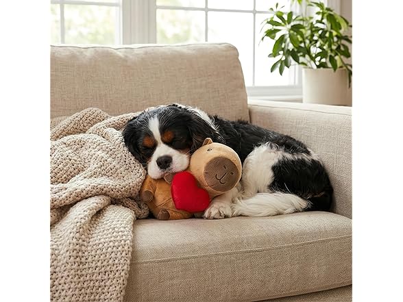 SPOT Capybara with Heart Plush Dog Toy