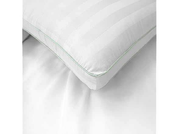 BioPEDIC 4Pk 300TC Plush Fiber Pillow