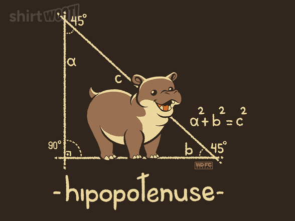 Hypotenuse