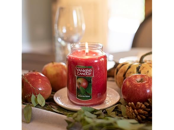 Yankee Candle Macintosh Large Classic Jar Candle