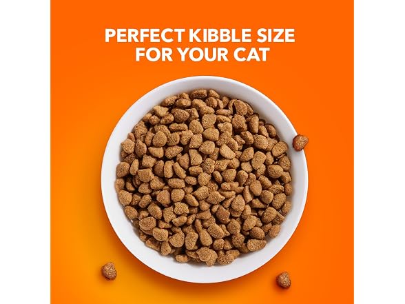 IAMS Dry Food Proactive Health Indoor Weight and H