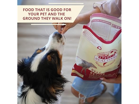 Steve's Real Food Freeze-Dried Raw Nuggets, Dog Food