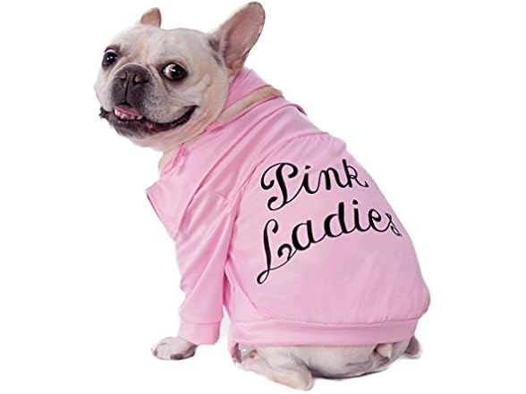 Rubies at Party City Grease: Pink Ladies Pet Costume