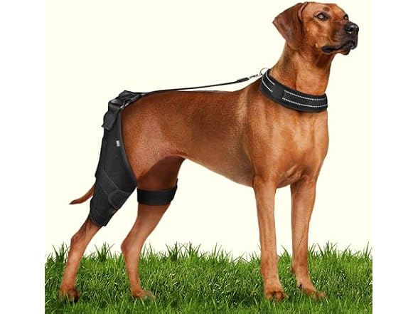 CAMRIER 2X Support Dog Knee Brace with Metal Strips MED