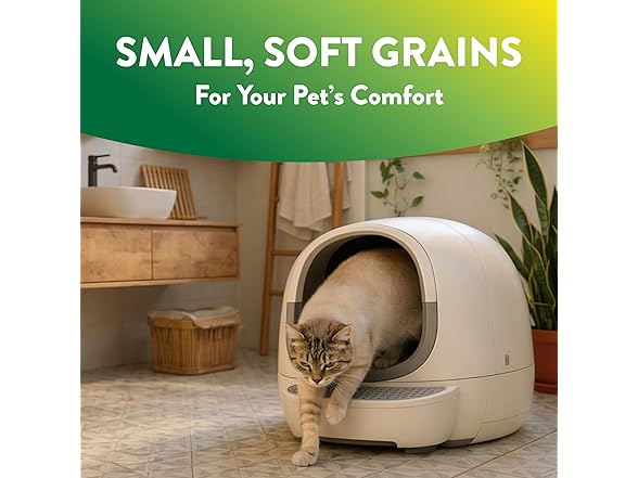 ARM & Hammer Plant Power Lightweight Plant-Based Litter