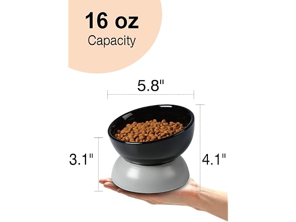 ABRUTY Cat Water Bowl, 16 OZ Ceramic Elevated