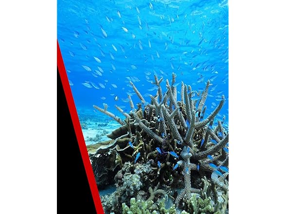 Canon RF 16mm f2.8 STM Lens (Black)