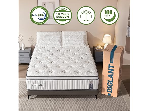 DIGLANT 14" Memory Foam Queen Mattress